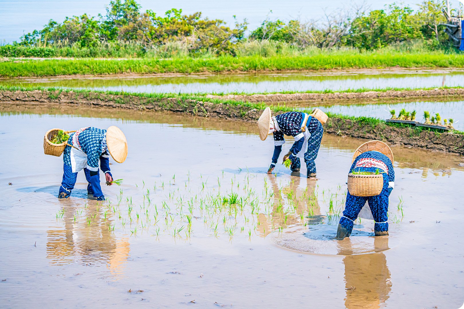 ⛩️ 다케다 하치만구 이미지 12